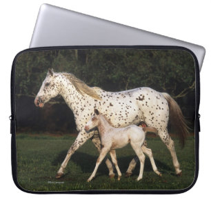 Housse Pour Ordinateur Portable Jument et poulain d'Appaloosa dans le domaine