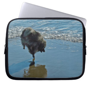 Housse Pour Ordinateur Portable Keeshond Ballet Photographie - Joli chien d'origin