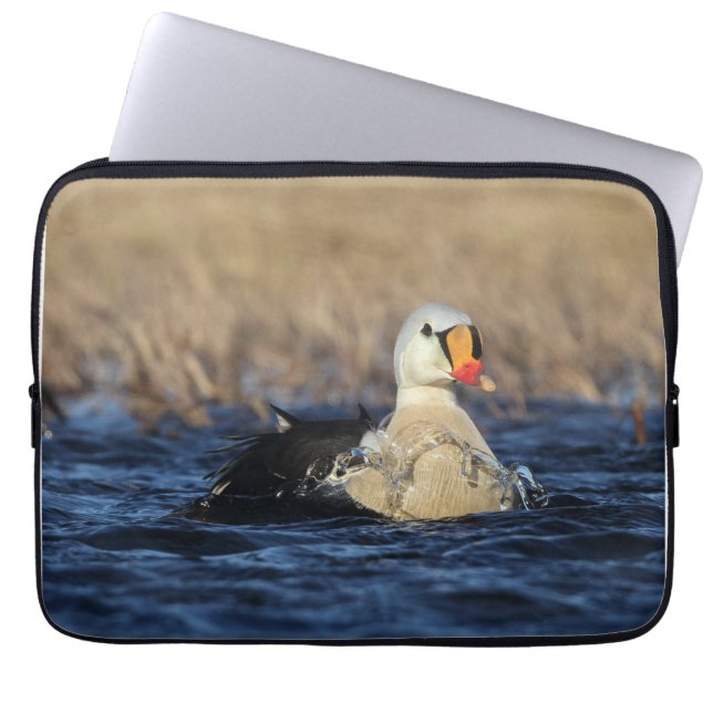 Housse Pour Ordinateur Portable King Eider Bird (Devant)