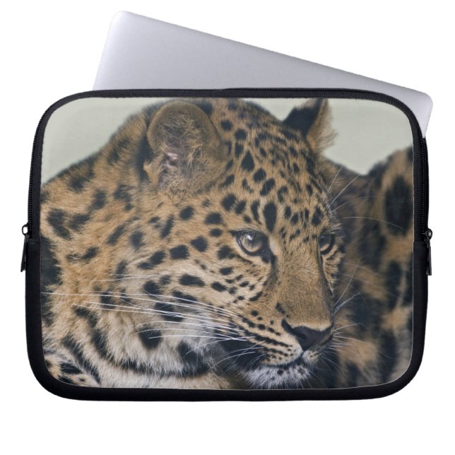 Housse pour ordinateur portable Kiska (Devant)
