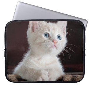 Housse Pour Ordinateur Portable Kitten blanc vulnérable