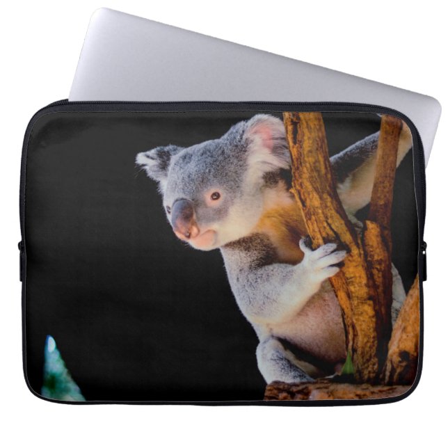 Housse Pour Ordinateur Portable Koala Cute en gris arbre (Devant)