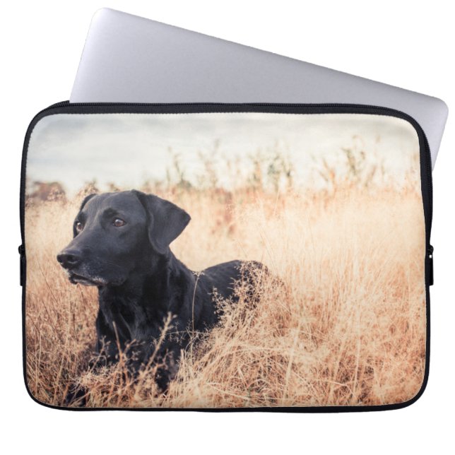 Housse Pour Ordinateur Portable Labrador Noir En Graine Sèche (Devant)