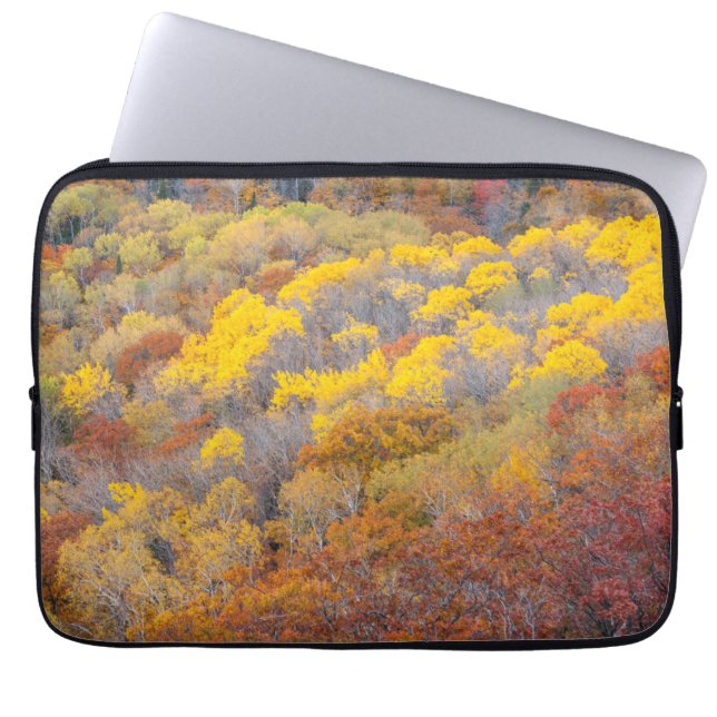 Housse Pour Ordinateur Portable L'automne dans le Michigan (Devant)
