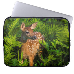 Housse Pour Ordinateur Portable Le cerf de Virginie Minnesota