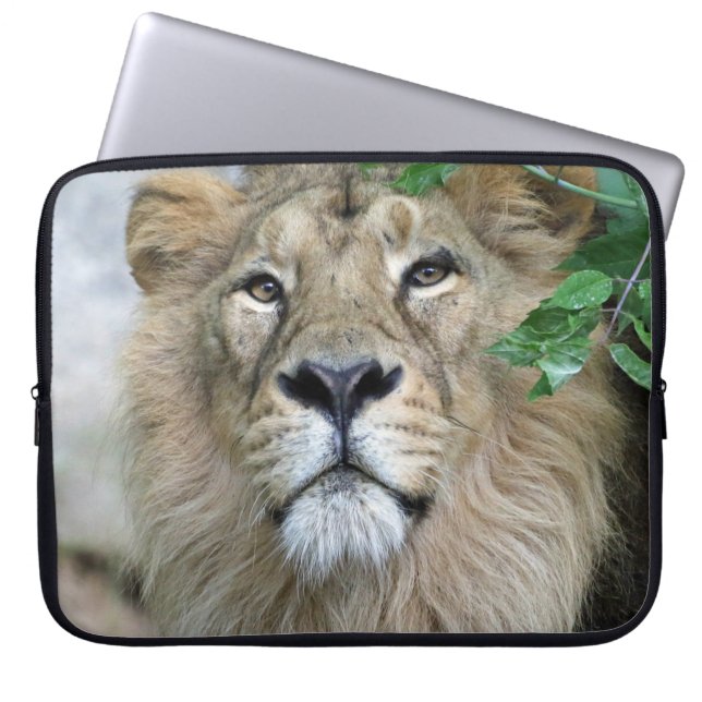 Housse Pour Ordinateur Portable Lion 002 (Devant)
