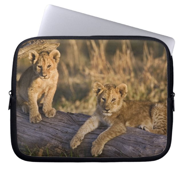 Housse Pour Ordinateur Portable Lionceaux sur rondin (Devant)