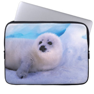 Housse Pour Ordinateur Portable Little Harp Seal Pup Covered in Snowflakes