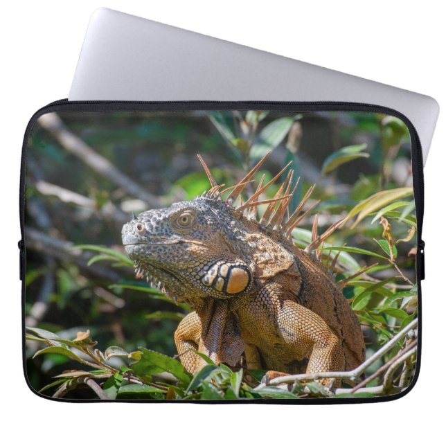 Housse Pour Ordinateur Portable Lizard Photographie, Orange Iguana (Devant)