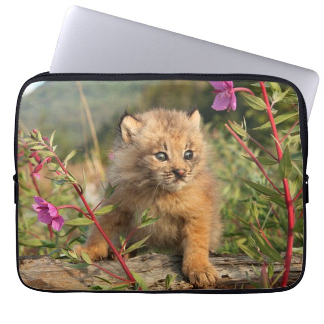 Housse Pour Ordinateur Portable Lynx Kitten, Canada, Alaska (Devant)