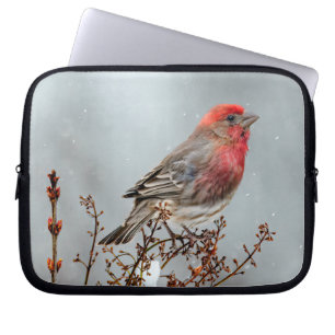Housse Pour Ordinateur Portable Maison Finch en Neige - Photo originale