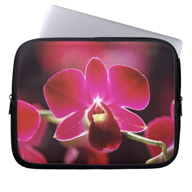 Housse Pour Ordinateur Portable Malaisie, Orchidée (Devant)