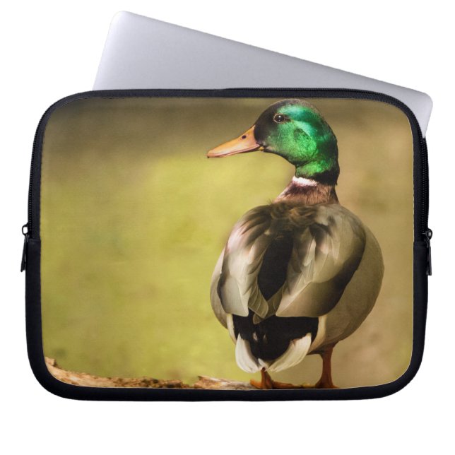 Housse Pour Ordinateur Portable Mallard Duck (Devant)