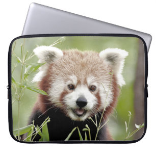 Housse Pour Ordinateur Portable manche portable Photo panda rouge, animaux.