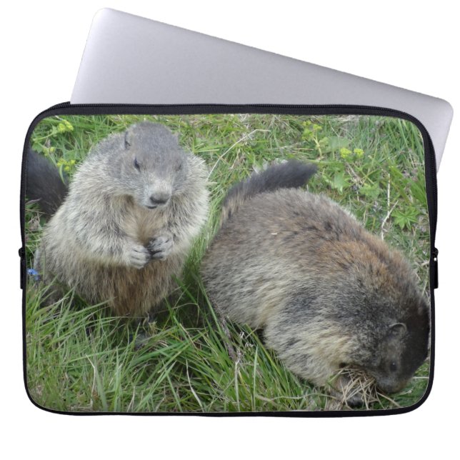 Housse Pour Ordinateur Portable Manches d'ordinateur portable Marmotte (Devant)