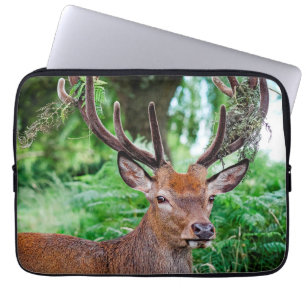 Housse Pour Ordinateur Portable Manches pour ordinateur portable Buck Deer