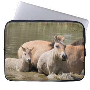 Housse Pour Ordinateur Portable Mare with Foal Crossing a River