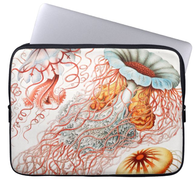 Housse Pour Ordinateur Portable Méduses, Discomedusae par Ernst Haeckel (Devant)
