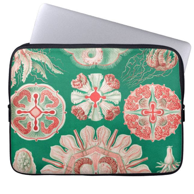Housse Pour Ordinateur Portable Méduses, Discomedusae par Ernst Haeckel (Devant)