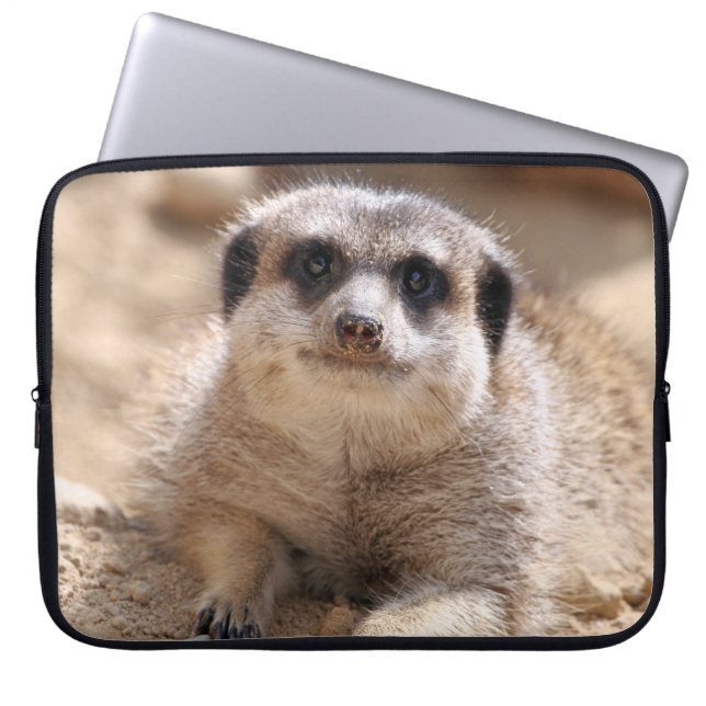 Housse Pour Ordinateur Portable Meerkat 174 (Devant)