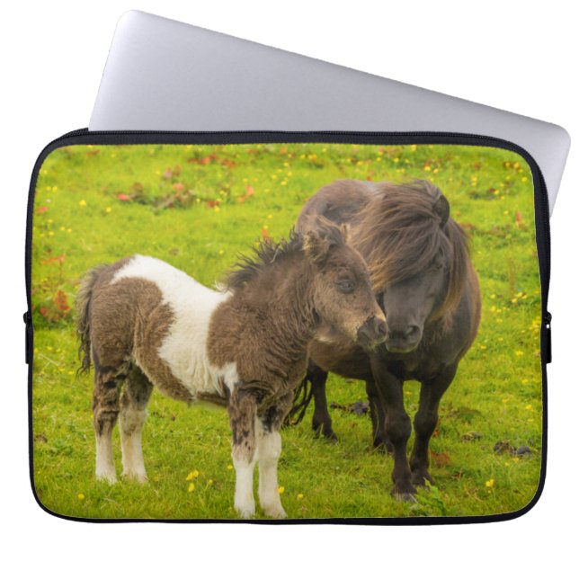 Housse Pour Ordinateur Portable Mère et progéniture de poney Shetland (Devant)