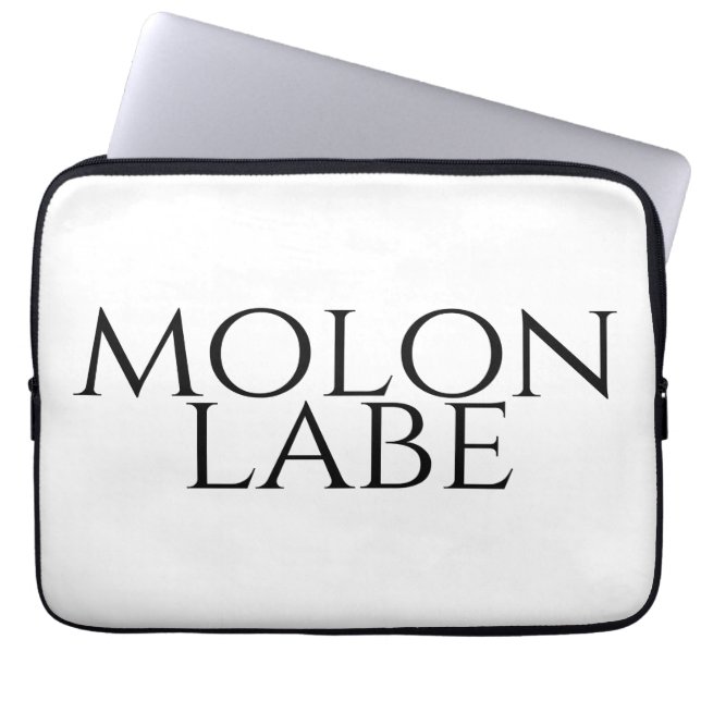 Housse Pour Ordinateur Portable Molon Labe (Devant)