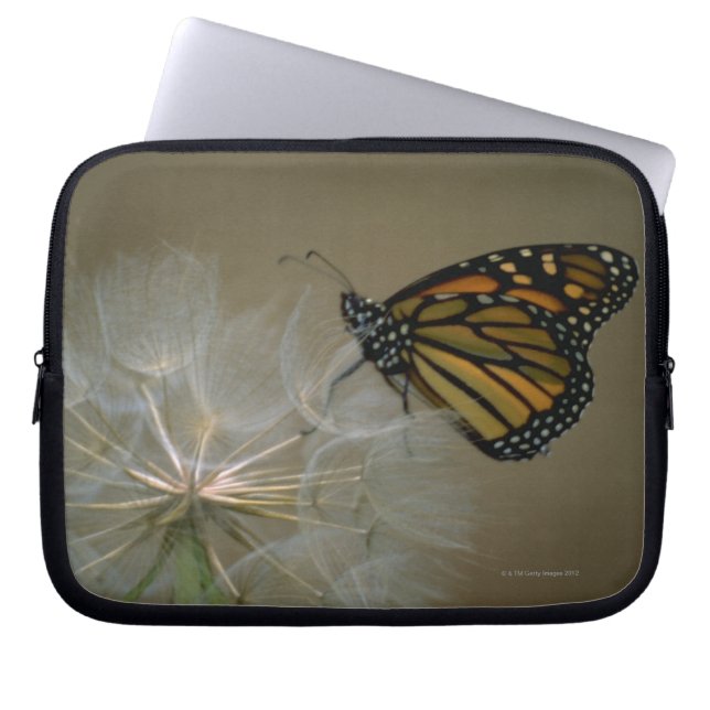 Housse Pour Ordinateur Portable Monarque sur le pissenlit (Devant)