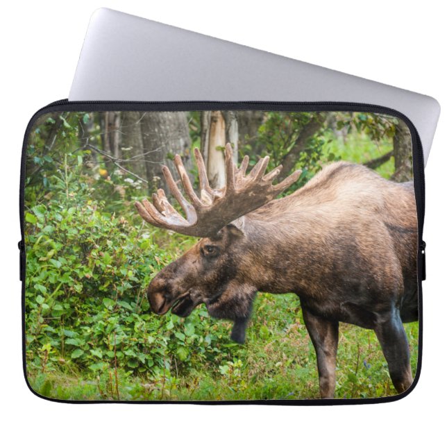 Housse Pour Ordinateur Portable Moose | Kenai Peninsula, Alaska (Devant)