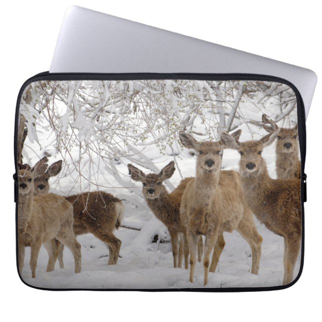 Housse Pour Ordinateur Portable Mule Deer Wyoming (Devant)