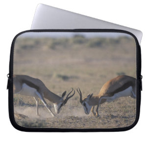 Housse Pour Ordinateur Portable Namibie, Parc national d'Etosha, Deux mâles