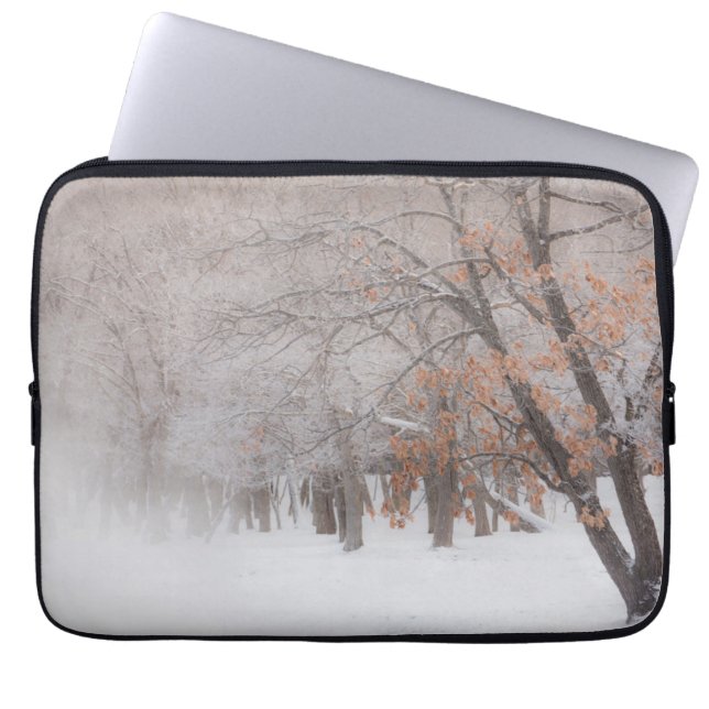 Housse Pour Ordinateur Portable Neige d'hiver | Lac Kussharo (Devant)