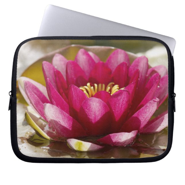 Housse Pour Ordinateur Portable Nénuphar (Devant)