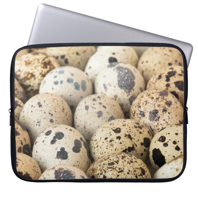 Housse Pour Ordinateur Portable Oeufs de caille (Devant)