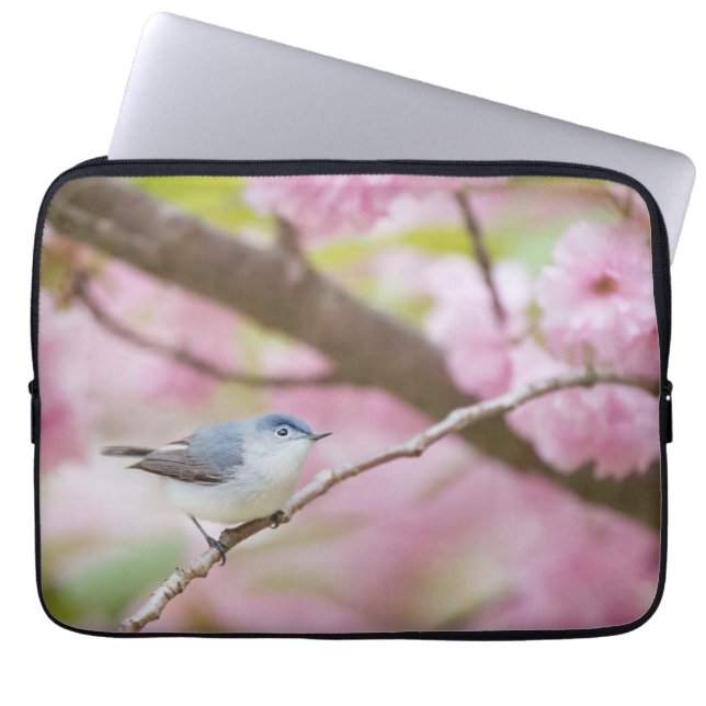 Housse Pour Ordinateur Portable Oiseau dans l'arbre à fleurs roses (Devant)