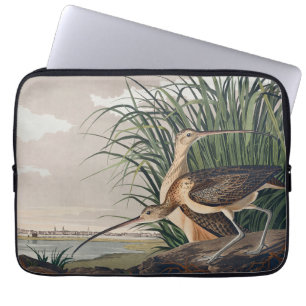 Housse Pour Ordinateur Portable Oiseau de Courlis à long bec Audubon
