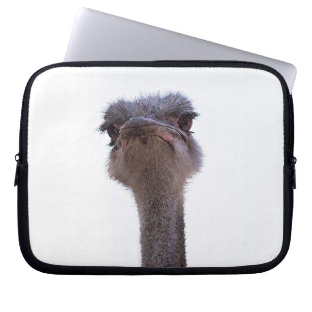 Housse Pour Ordinateur Portable ostrich (Devant)
