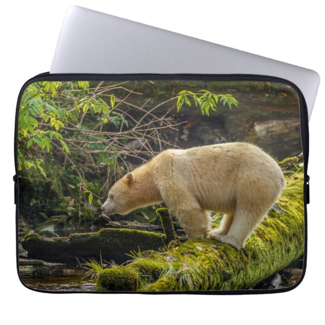 Housse Pour Ordinateur Portable Ours blanc esprit (Devant)