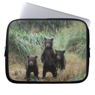 Housse Pour Ordinateur Portable ours brun, Ursus arctos, grizzly, Ursus 7