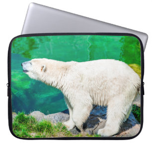 Housse Pour Ordinateur Portable Ours polaire