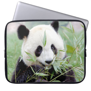 Housse Pour Ordinateur Portable Panda géant photo, animaux coques d'ordinateur por