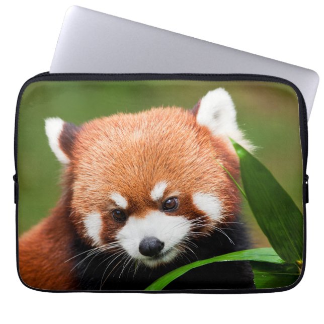 Housse Pour Ordinateur Portable Panda roux mignon (Devant)