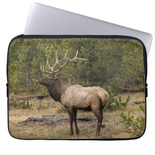 Housse Pour Ordinateur Portable Parc national Bull Elk Yellowstone, Wyoming