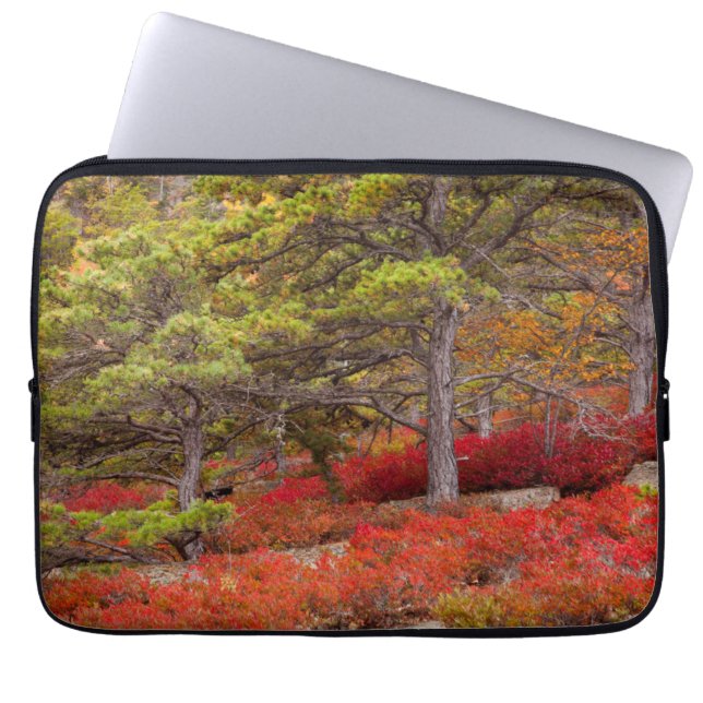 Housse Pour Ordinateur Portable Parc national d'Acadia, Maine (Devant)