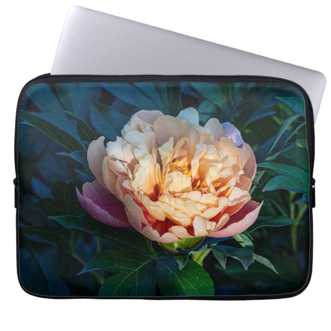 Housse Pour Ordinateur Portable Peach Peony, Soft Pastel Photo (Devant)