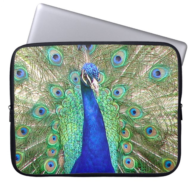 Housse Pour Ordinateur Portable Peacock bleu (Devant)