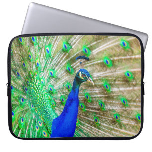 Housse Pour Ordinateur Portable Peacock Plumage