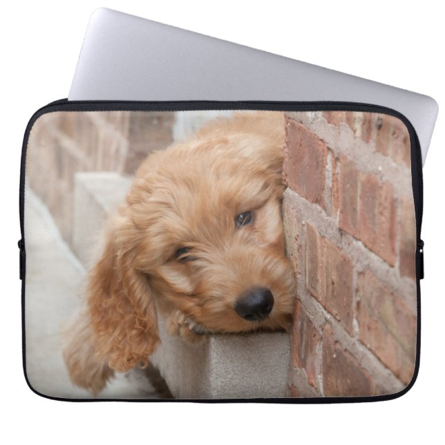 Housse Pour Ordinateur Portable Peecing de Goldendoodle (Devant)