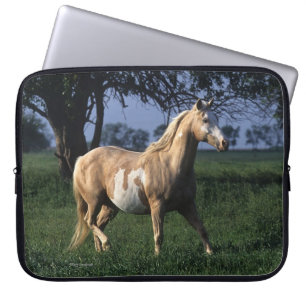 Housse Pour Ordinateur Portable Peignez le cheval tenant 2