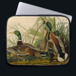 Housse Pour Ordinateur Portable Peinture d'oiseaux de Mallard Duck Audubon<br><div class="desc">Canard colvert Audubon - Le canard colvert est un oiseau de jeu que vous pouvez voir voler à travers les marais. John James Audubon a créé cette magnifique illustration vintage de canard de Mallard, une gravure aquatine avec coloration originale, et l'a publiée dans les célèbres livres originaux Birds of America...</div>