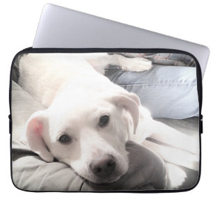 Housse Pour Ordinateur Portable Photo de Cute Labrador Retriever Mix Dog With Dad